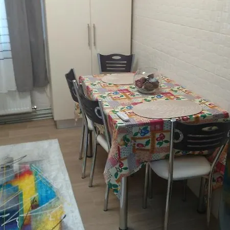 New Apart Apartment Fagaras