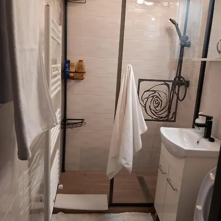 New Apart Apartment Fagaras